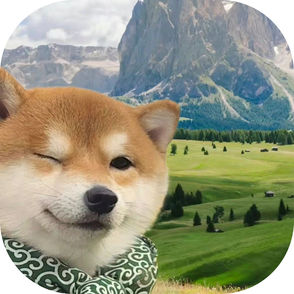 欢欢导航